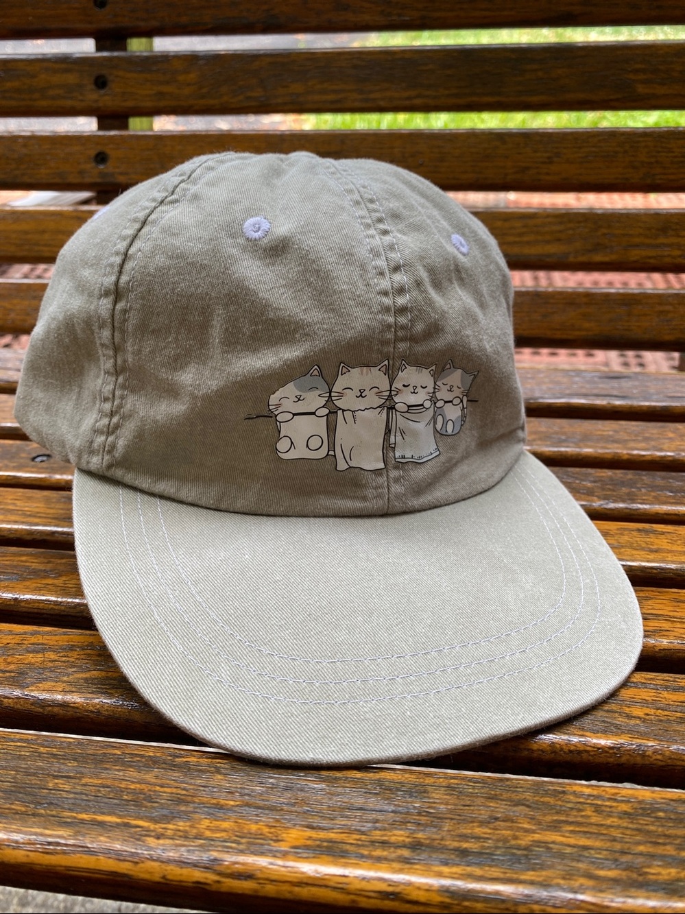 Clothes Line Cats Hat